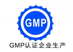 GMP標準規(guī)范